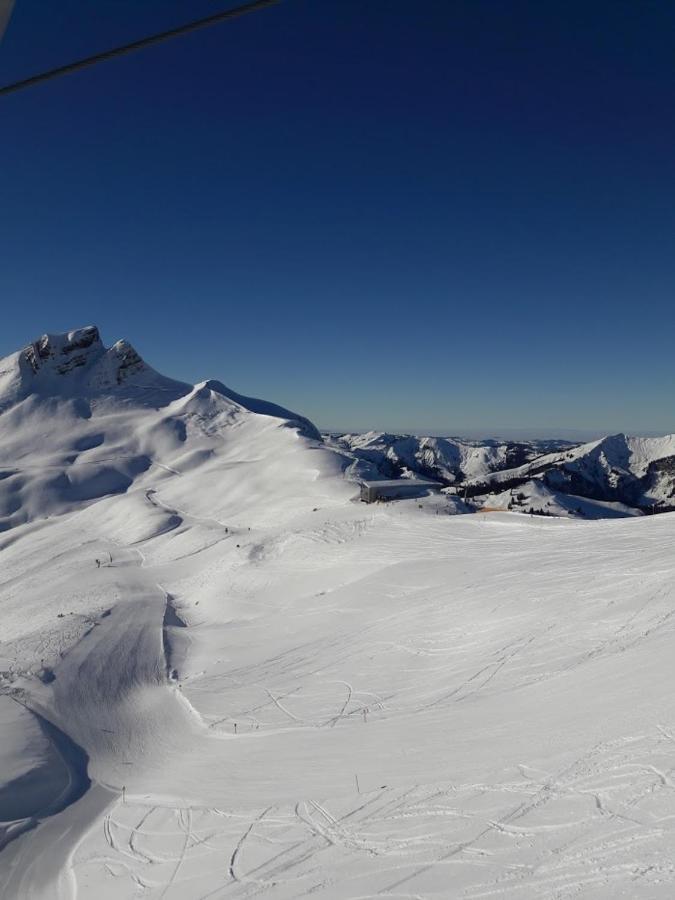 Ferienwohnung Schnetzer Au Au (Vorarlberg) Luaran gambar